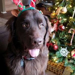 Meet your Posher, Sherrie